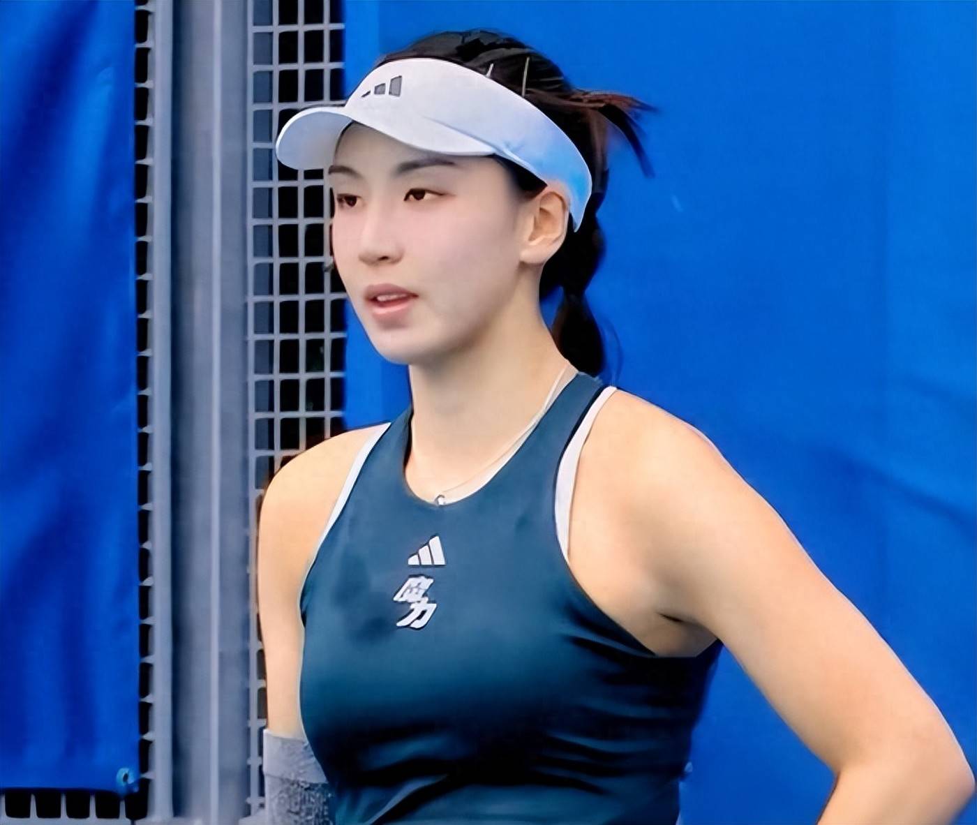 的神秘面纱 的神秘面纱