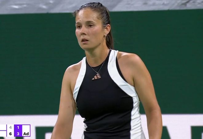 而灰熊需要 而灰熊需要